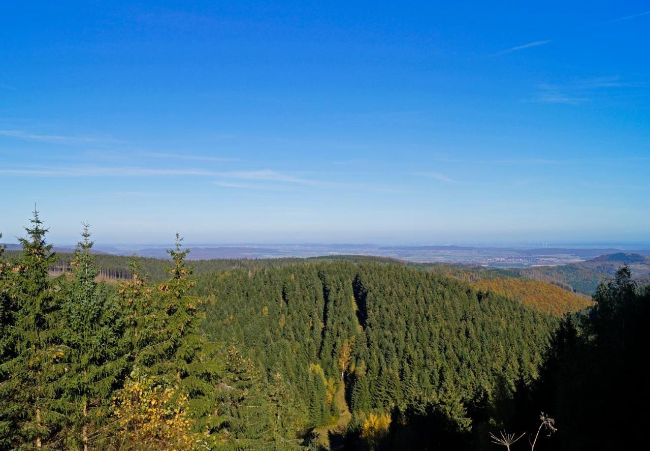 Bergblick471 Daire Goslar Dış mekan fotoğraf